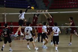 《原神》枫丹全套壁纸：234张，文内免费下载，出镜率最高的角色是她？